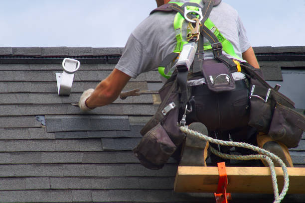 Best Storm Damage Siding Repair  in Rutherford, NJ
