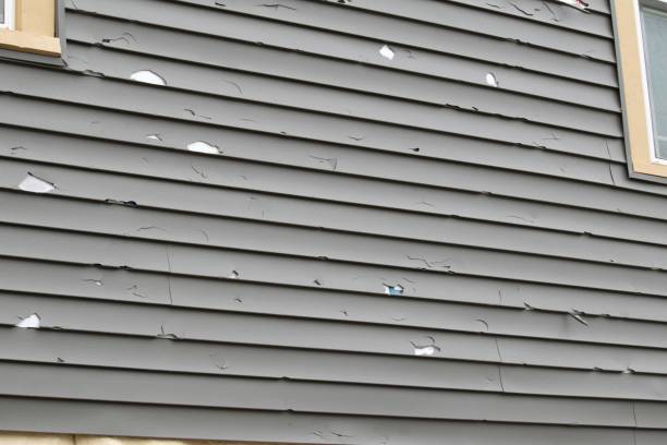 Best Siding Painting and Refinishing  in Rutherford, NJ