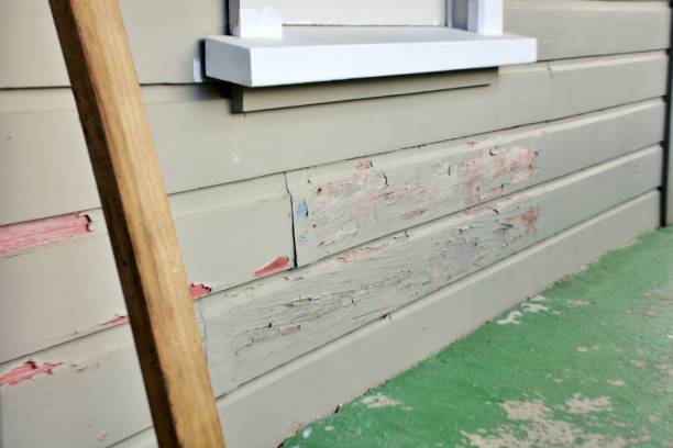 Best Siding for New Construction  in Rutherford, NJ