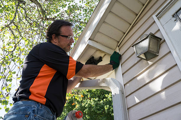 Best Insulated Siding Installation  in Rutherford, NJ